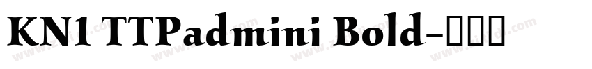 KN1 TTPadmini Bold字体转换